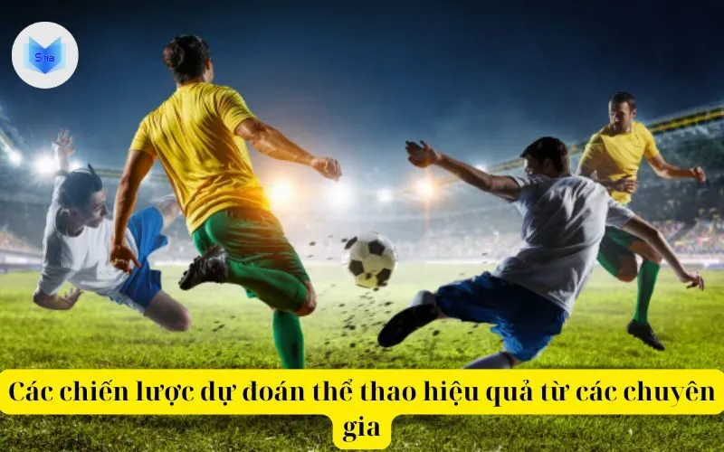 Các chiến lược dự đoán thể thao hiệu quả từ các chuyên gia