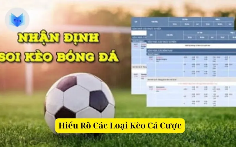 Hiểu Rõ Các Loại Kèo Cá Cược