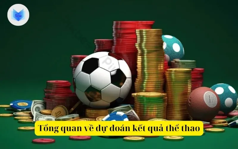 Tổng quan về dự đoán kết quả thể thao