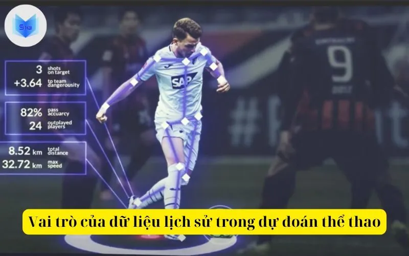 Vai trò của dữ liệu lịch sử trong dự đoán thể thao