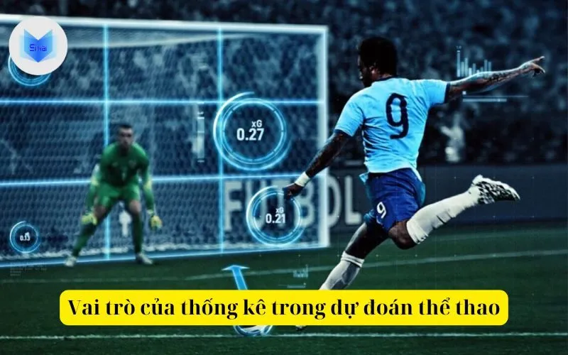 Vai trò của thống kê trong dự đoán thể thao