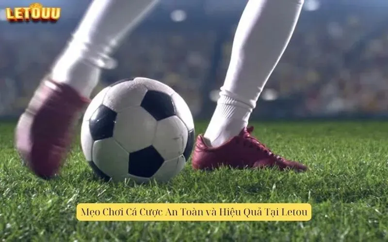 Mẹo Chơi Cá Cược An Toàn và Hiệu Quả Tại Letou