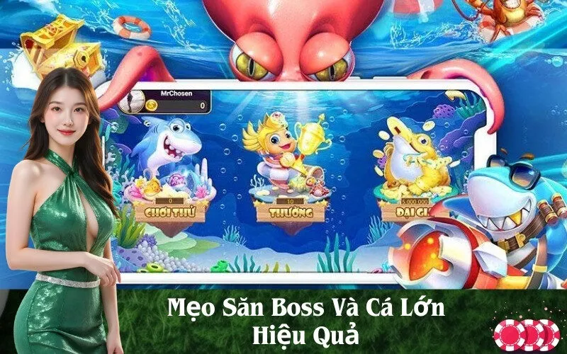 Mẹo Săn Boss Và Cá Lớn Hiệu Quả