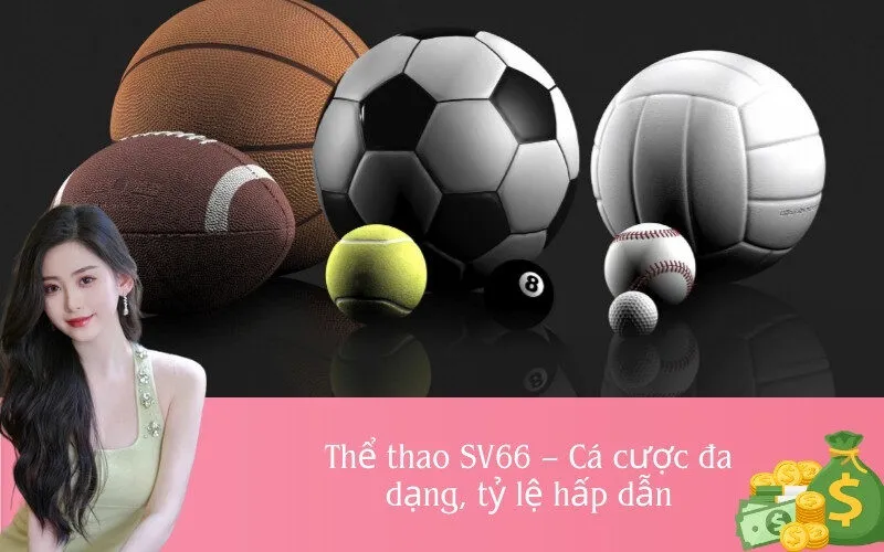 Thể thao SV66 – Cá cược đa dạng, tỷ lệ hấp dẫn