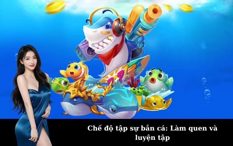 Chế độ tập sự bắn cá: Làm quen và luyện tập