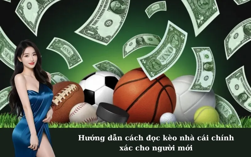 Hướng dẫn cách đọc kèo nhà cái chính xác cho người mới