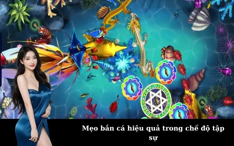 Mẹo bắn cá hiệu quả trong chế độ tập sự