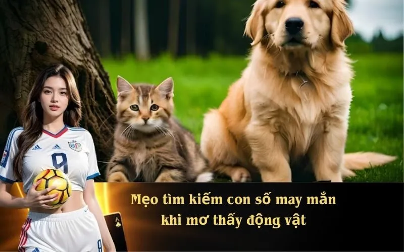 Mẹo tìm kiếm con số may mắn khi mơ thấy động vật