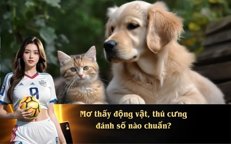 Mơ thấy động vật, thú cưng đánh số nào chuẩn?