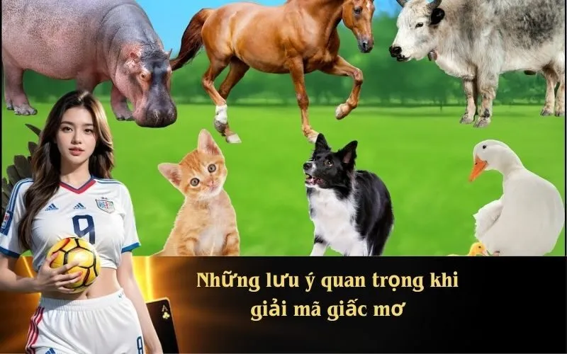 Những lưu ý quan trọng khi giải mã giấc mơ