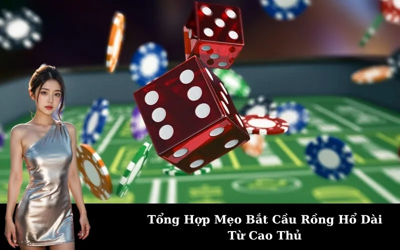 Tổng Hợp Mẹo Bắt Cầu Rồng Hổ Dài Từ Cao Thủ
